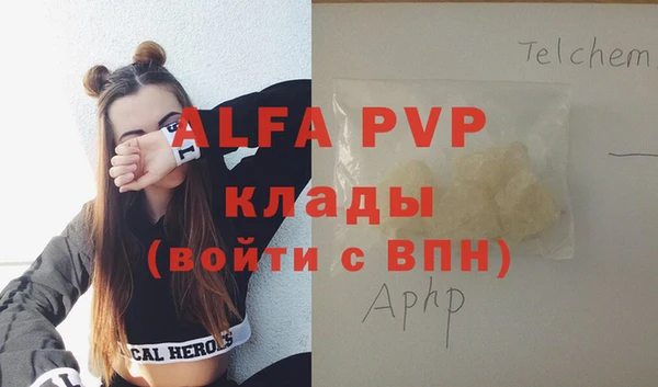 ГАЛЛЮЦИНОГЕННЫЕ ГРИБЫ Новозыбков