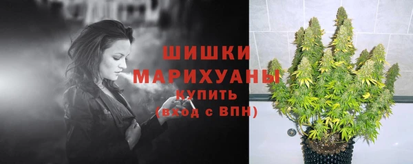 мяу мяу мука Новодвинск