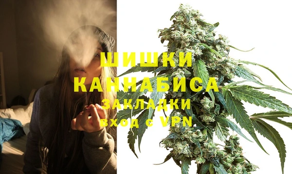 ГАЛЛЮЦИНОГЕННЫЕ ГРИБЫ Новозыбков