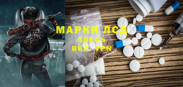 ГАЛЛЮЦИНОГЕННЫЕ ГРИБЫ Новозыбков