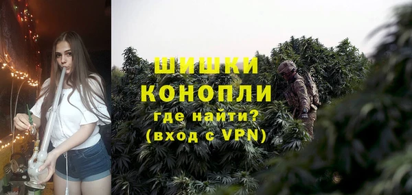 ГАЛЛЮЦИНОГЕННЫЕ ГРИБЫ Новозыбков