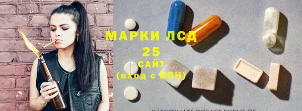 ГАЛЛЮЦИНОГЕННЫЕ ГРИБЫ Кущёвская