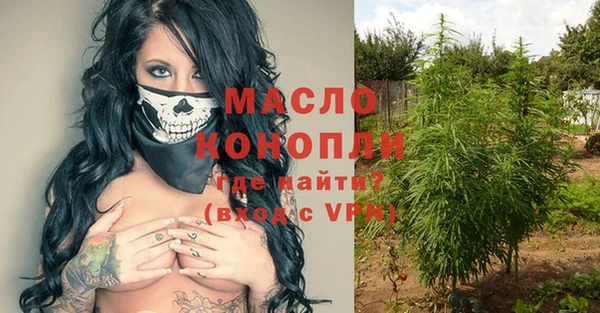 ГАЛЛЮЦИНОГЕННЫЕ ГРИБЫ Новозыбков