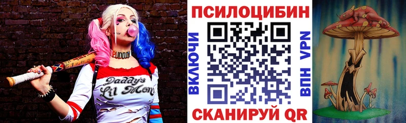Галлюциногенные грибы мицелий  закладка  Калининец 